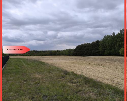 Tylko u nas - działka na sprzedaż w Dylewie