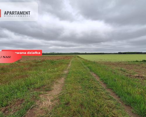Działka inwestycyjna, wz, 5 min. od miasta,