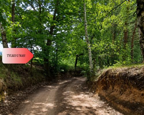 Spokój, natura, jeziora–działka zagrodowa Dormowo