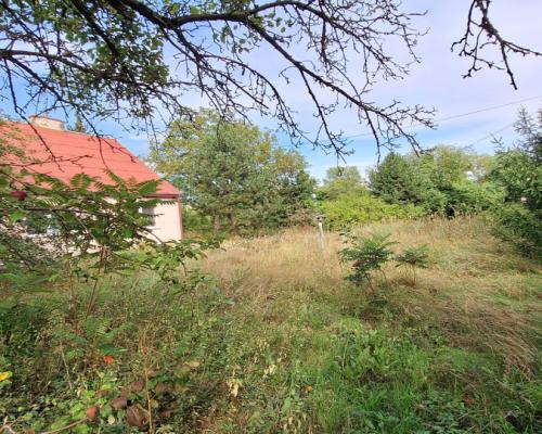 Przepiękne siedlisko, wiele możliwości