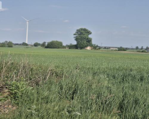 * Działka w Żninie 115 zł./mkw.