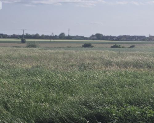 * Działka w Żninie 115 zł./mkw.
