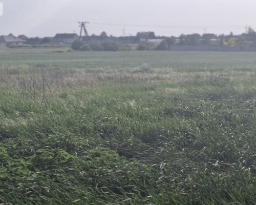 * Działka w Żninie 115 zł./mkw.