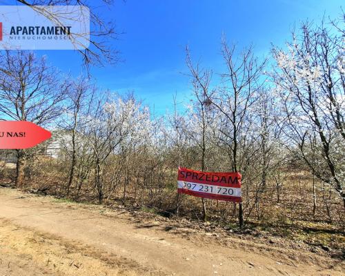 MORZEWIEC 3260m2, WYDANE WZ, CISZA, SPOKÓJ