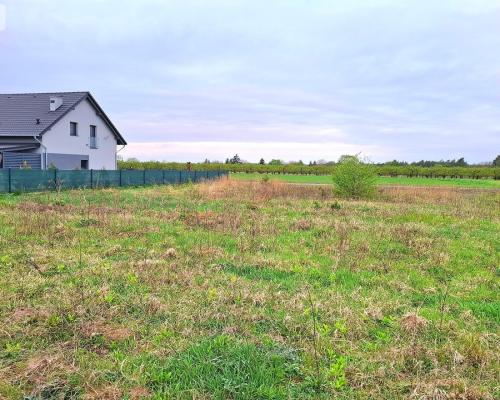 Szczutki 1106m2 malownicze miejsce pola lasy