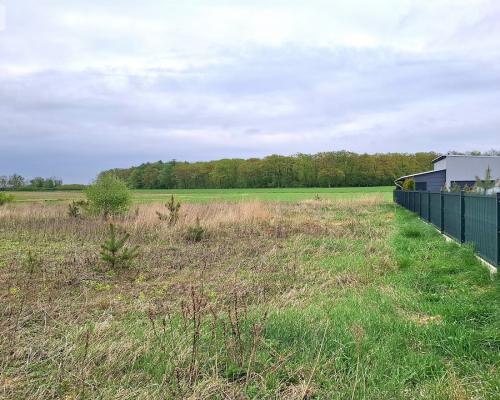 Szczutki 1106m2 malownicze miejsce pola lasy