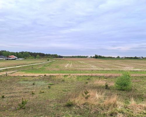 Szczutki 1106m2 malownicze miejsce pola lasy