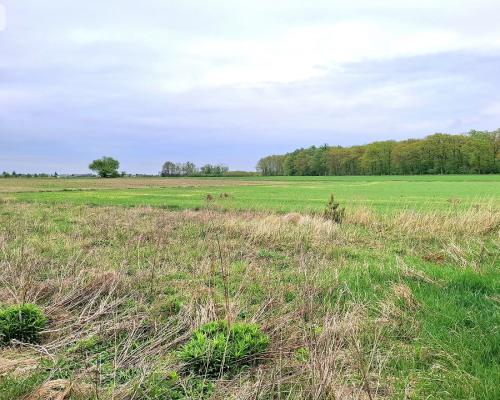 Szczutki 1106m2 malownicze miejsce pola lasy