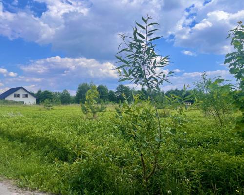 bezterminowe warunki zabudowy