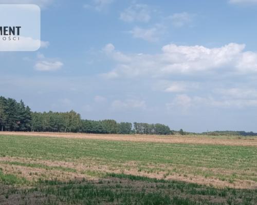 Działka Cekcyn obok lasu, jezior ,budowlana !