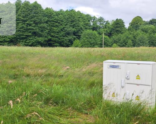 Działka 5000 m2 ze ścianą lasu, raj dla duszy