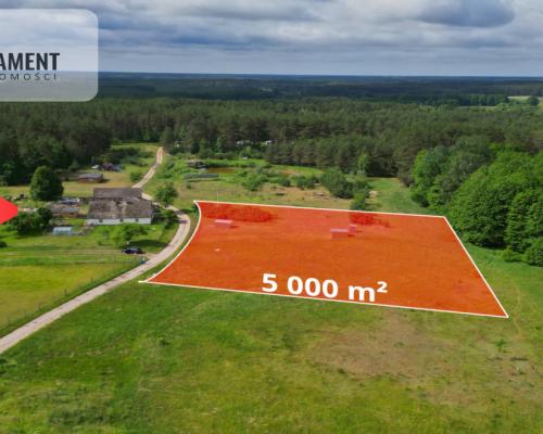 Działka 5000 m2 ze ścianą lasu, raj dla duszy