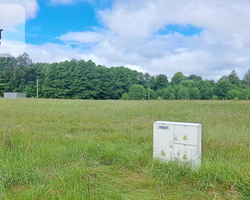 Działka 5000 m2 ze ścianą lasu, raj dla duszy