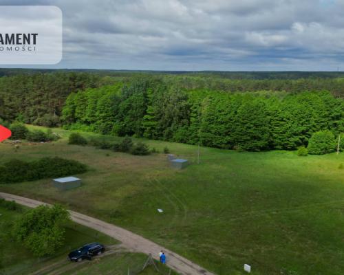 Działka 5000 m2 ze ścianą lasu, raj dla duszy