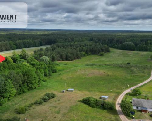 Działka 5000 m2 ze ścianą lasu, raj dla duszy