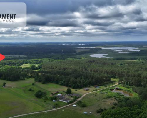 Działka 5000 m2 ze ścianą lasu, raj dla duszy