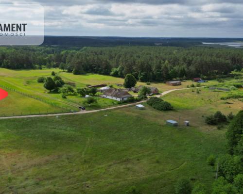 Działka 5000 m2 ze ścianą lasu, raj dla duszy
