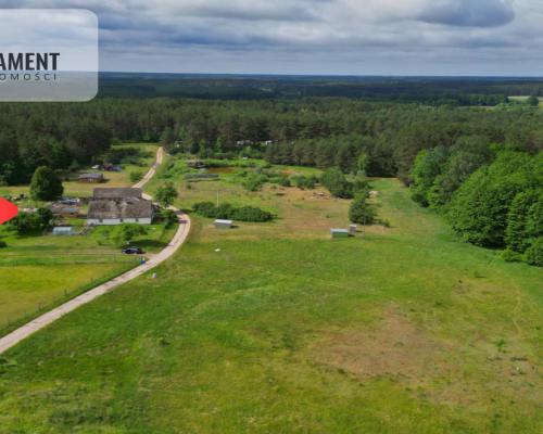 Działka 5000 m2 ze ścianą lasu, raj dla duszy