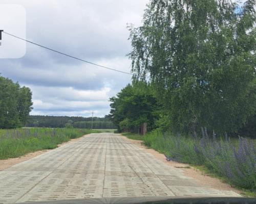 Działka 5000 m2 ze ścianą lasu, raj dla duszy