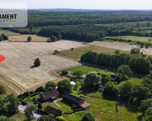 Malownicze działki wśród natury w Niesułowicach