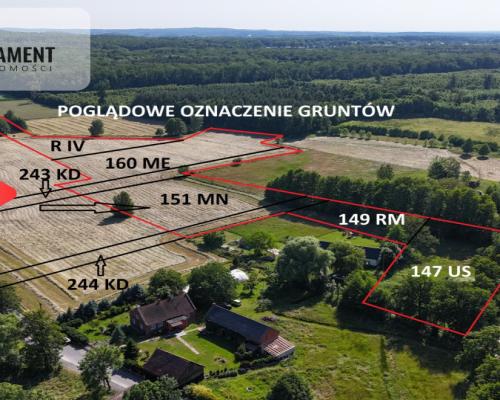 Malownicze działki wśród natury w Niesułowicach