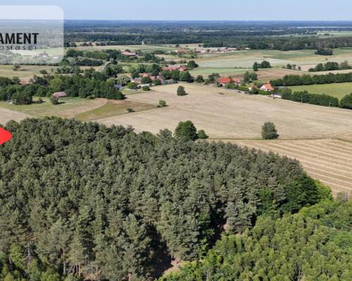 Malownicze działki wśród natury w Niesułowicach