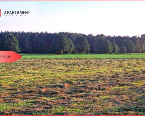 Ustronna działka - Twoja prywatna przestrzeń