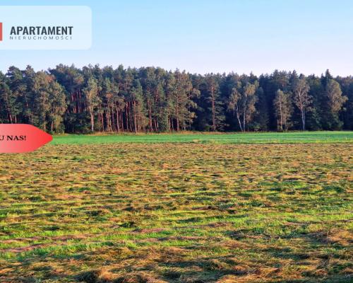 Ustronna działka - Twoja prywatna przestrzeń