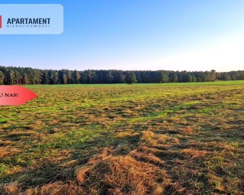Ustronna działka - Twoja prywatna przestrzeń