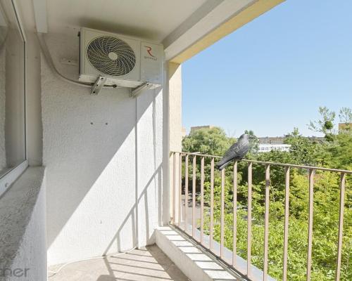 Do wynajęcia duże mieszkanie z balkonem ul Poleska