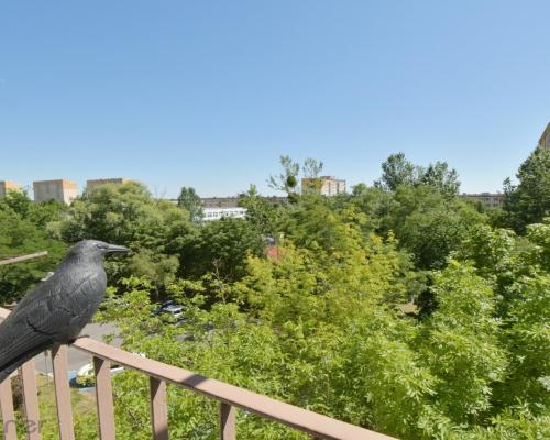 Do wynajęcia duże mieszkanie z balkonem ul Poleska