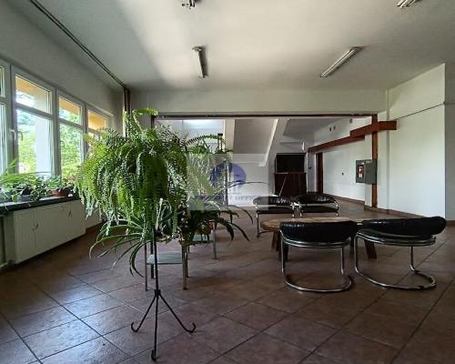 Wawer: lokal biurowy 11,34m2 do wynajęcia