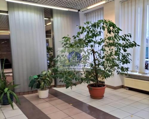 Targówek: biuro 19,50m2 do wynajęcia