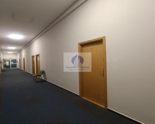 Śródmieście: lokal biurowo-usługowy 73,20 m2 z umywalką, do wynajęcia