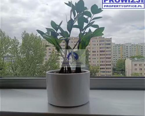 Wola:lokal biurowy 234 m2 do wynajęcia