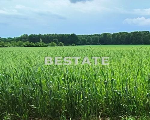 Działka rolna 1,2972 ha pod Obornikami