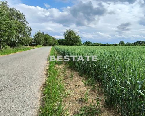 Działka rolna 1,2972 ha pod Obornikami