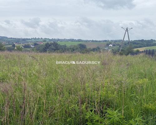 33 ary, Michałowice-Wilczkowice