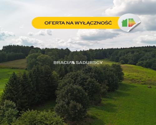 Działka budowlana o powierzchni 30 arów w Brodach
