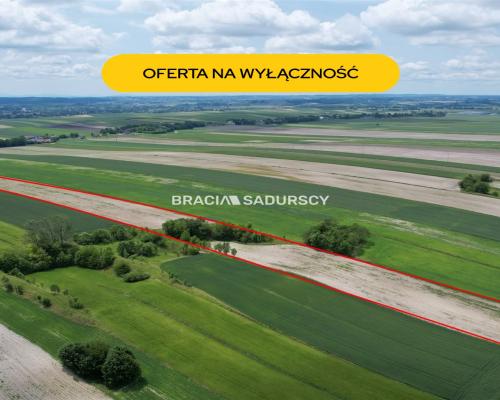 Działka rolna o pow. 3 ha - Prandocin-Iły    Oferujemy na sprzedaż działkę rolną o pow. 3 ha położoną w Prandocinie-Iły k/Sło