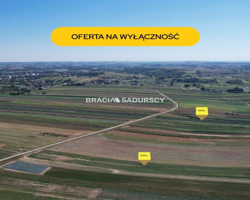 Działki rolne Proszowice