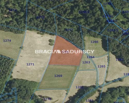 DZIAŁKA BUDOWLANA 43 ARY WIDOK LIPNICA GÓRNA