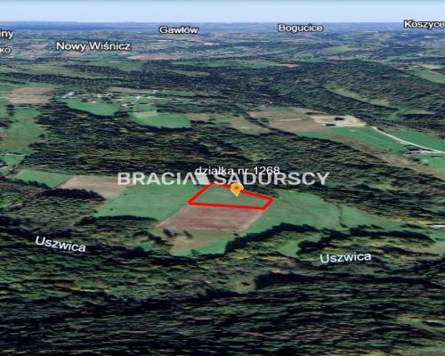 DZIAŁKA BUDOWLANA 43 ARY WIDOK LIPNICA GÓRNA