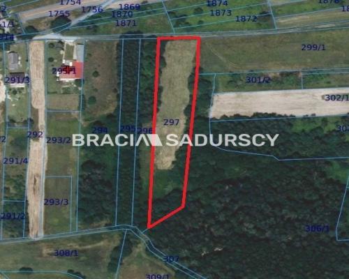 Panoramiczna Działka Rezydencjalna 53a z Widokiem na Babią Górę | Przeginia Narodowa   Ostatnia linia zabudowy, połudn