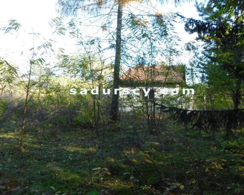 Ładna działka budowlano - inwestycyjna 4100m2 w Białym Ługu, gmina Prażmów, pow. piaseczyński.       Cisza, zieleń, dobry dos