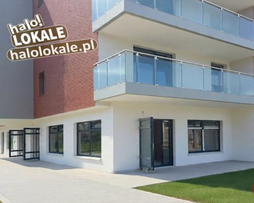 Nowe lokale do wynajęcia