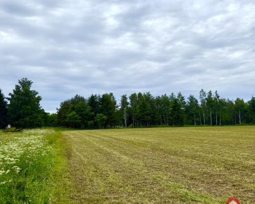 Twoja prywatna linia brzegowa nad Jeziorem Hańcza