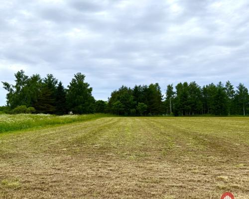 Twoja prywatna linia brzegowa nad Jeziorem Hańcza