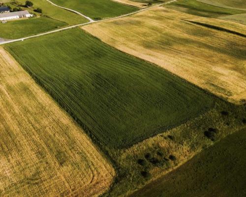 Działka - Żegary, gm. Sejny
