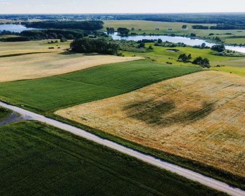 Działka - Żegary, gm. Sejny